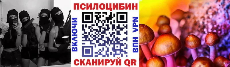 цены   Далматово  ОМГ ОМГ как войти  Галлюциногенные грибы Psilocybe 