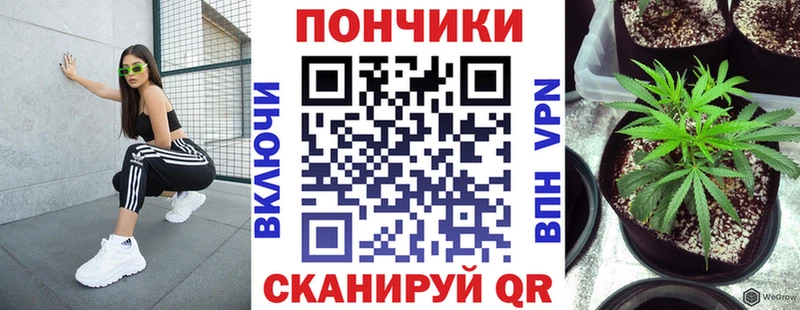 Канабис конопля  Далматово 